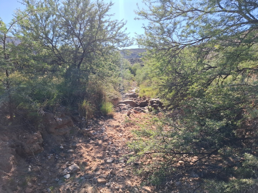  Bedroom Property for Sale in Ladismith Rural Western Cape